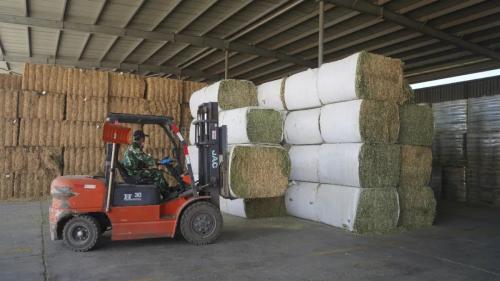 一滴牛奶背后的“超級力量”