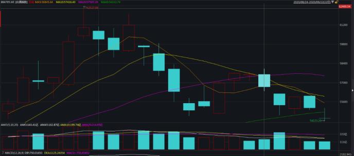 中紀委發文！白酒股“瑟瑟發抖” 機構：持續堅定推薦白酒板塊