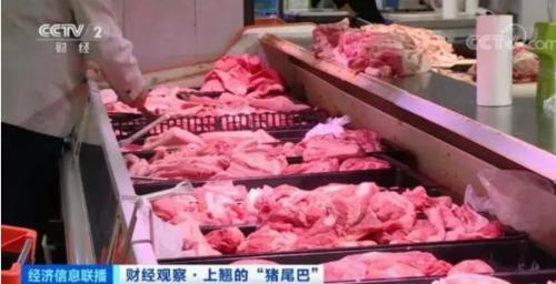 豬肉價格反彈,1頭豬利潤=2瓶茅臺酒?