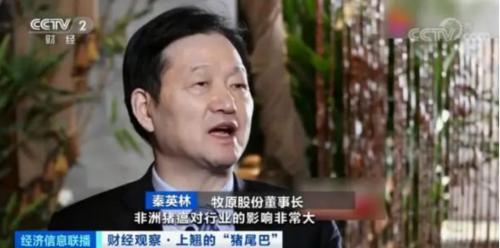 豬肉價格反彈,1頭豬利潤=2瓶茅臺酒?