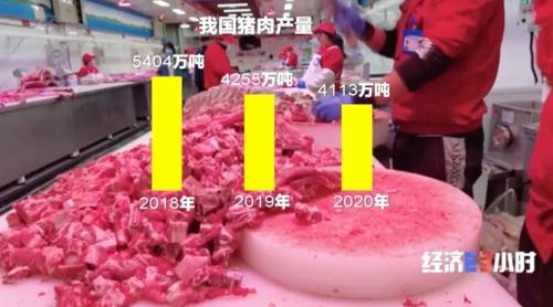 8個品種本土種豬滅絕!我們餐桌多為“外來豬”?!本土“二師兄”去哪了?