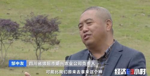 8個品種本土種豬滅絕!我們餐桌多為“外來豬”?!本土“二師兄”去哪了?